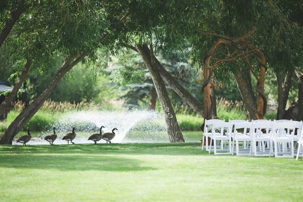 The Ponds at Dry Creek