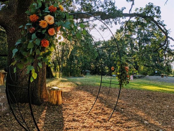 Mount Pisgah Arboretum