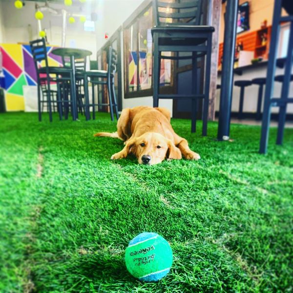 BRK Republic FREE VENUE