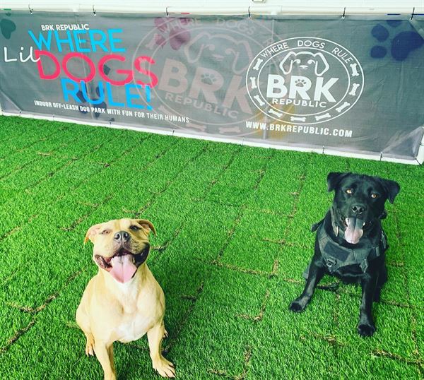 BRK Republic FREE VENUE