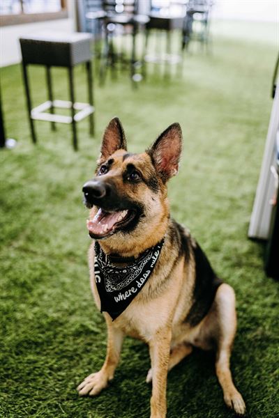 BRK Republic FREE VENUE