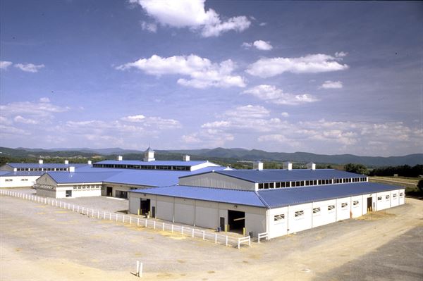 Virginia Horse Center Foundation