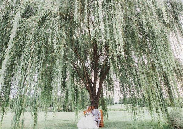 The Osprey's at Belmont Bay