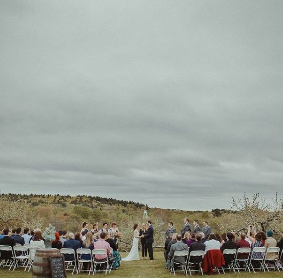 Nashoba Valley Winery