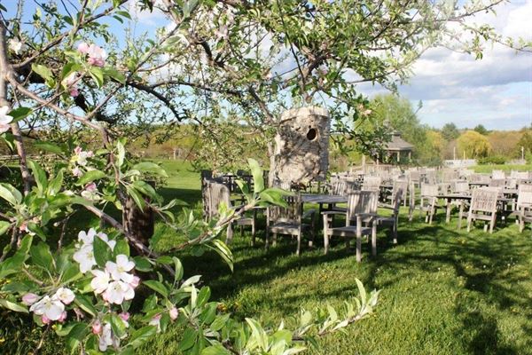 Nashoba Valley Winery