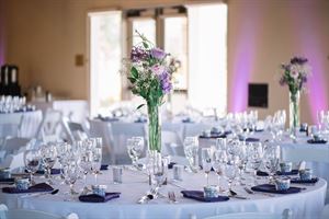 The Viticulture Galleria