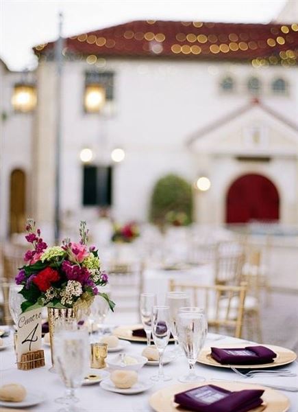 The Bishop Museum of Science and Nature