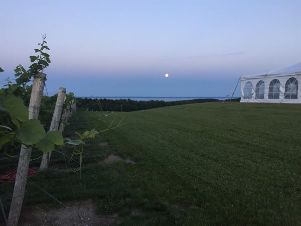 The Ridge at Verterra Vineyards