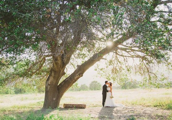 Hamilton Oaks Vineyard Events