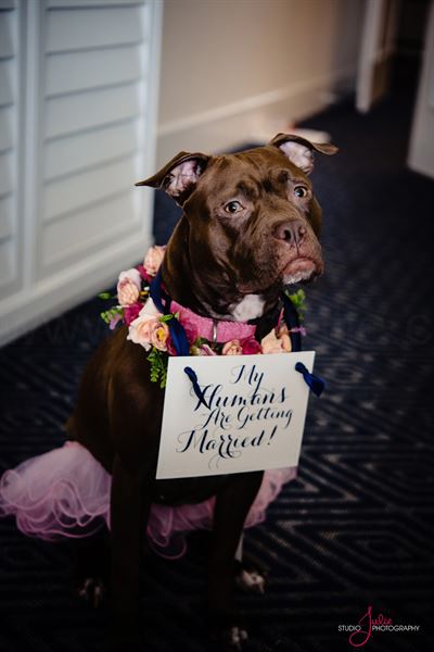 Oceans Edge Key West