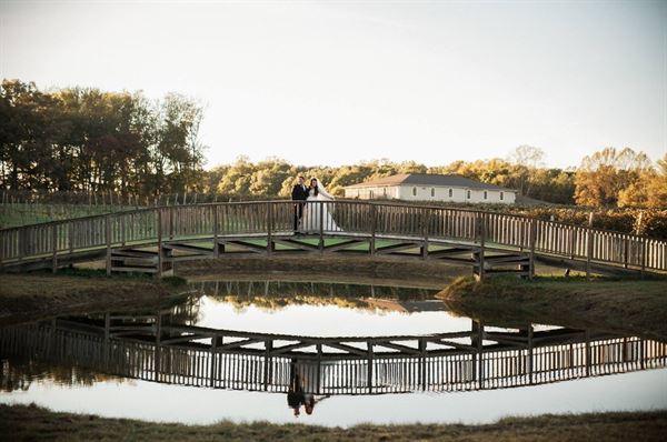 DelMonaco Winery & Vineyards