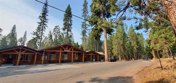The Redwoods In Yosemite