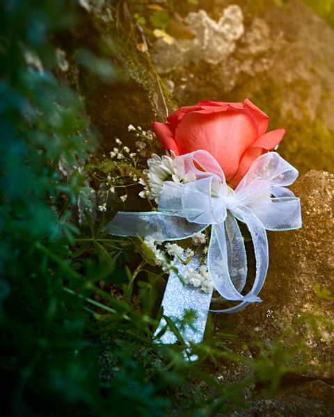 Dream Anchor Photography