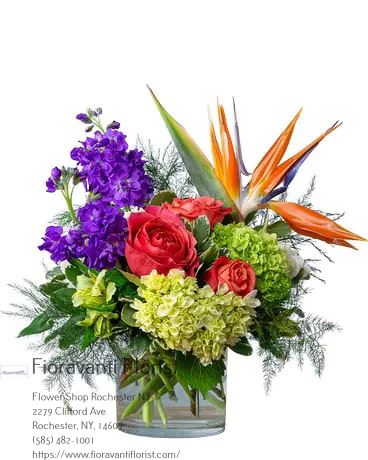 Fioravanti Florist