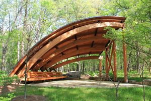 The Tulip Tree Shelter