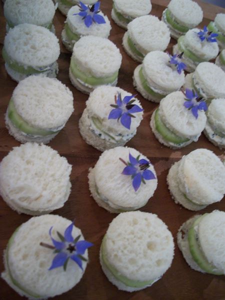 Custom Gourmet Catering