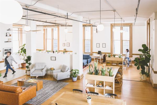 The Pioneer Collective - Tacoma