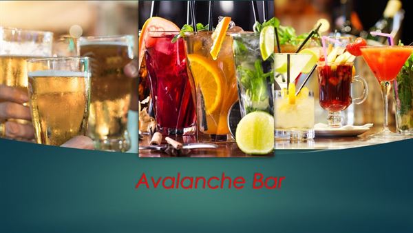 Twister Catering Party Planner LLC