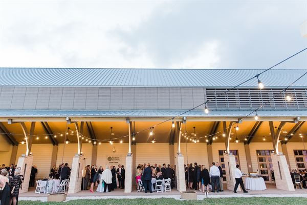 The Museum of Arts & Sciences