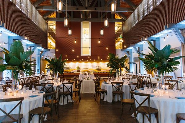 The Museum of Arts & Sciences