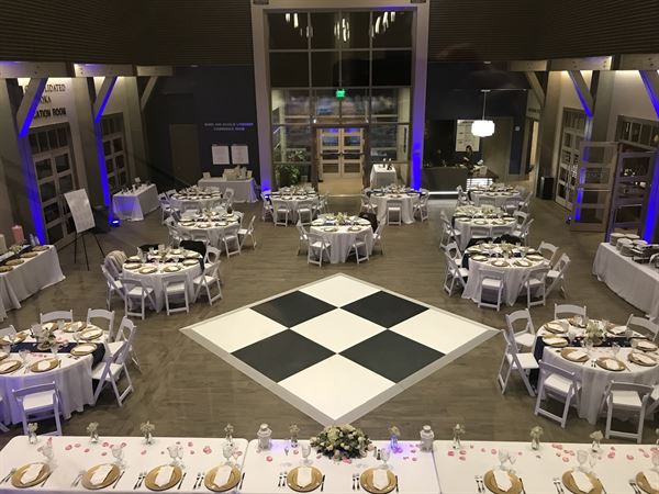 The Museum of Arts & Sciences