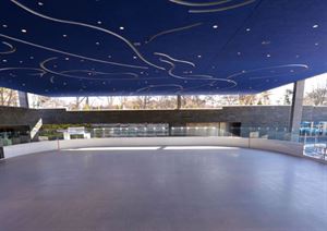 The Covered Rink