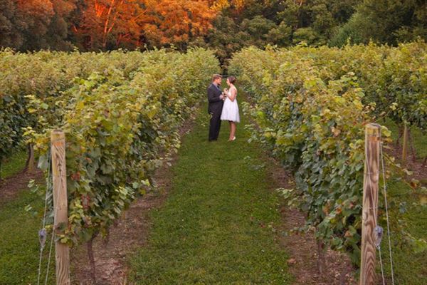 Perigeaux Vineyards & Winery