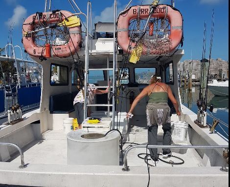 Starfish Marathon Snorkeling