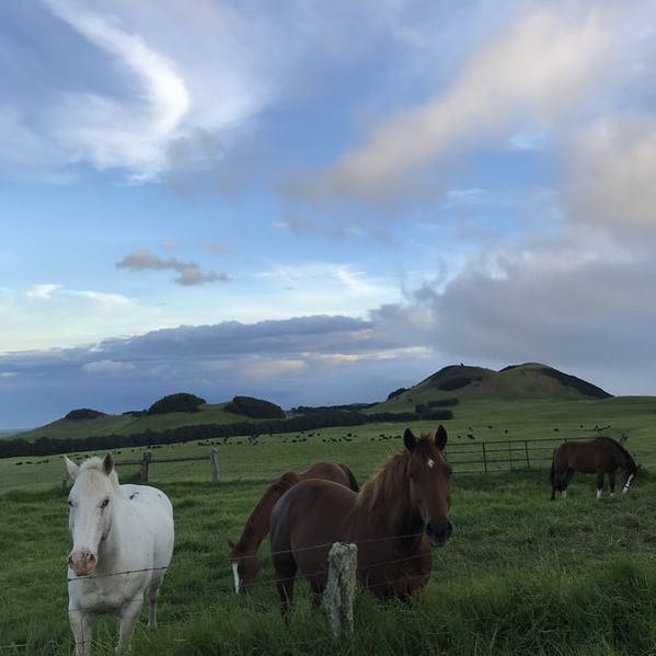 Kahua Ranch