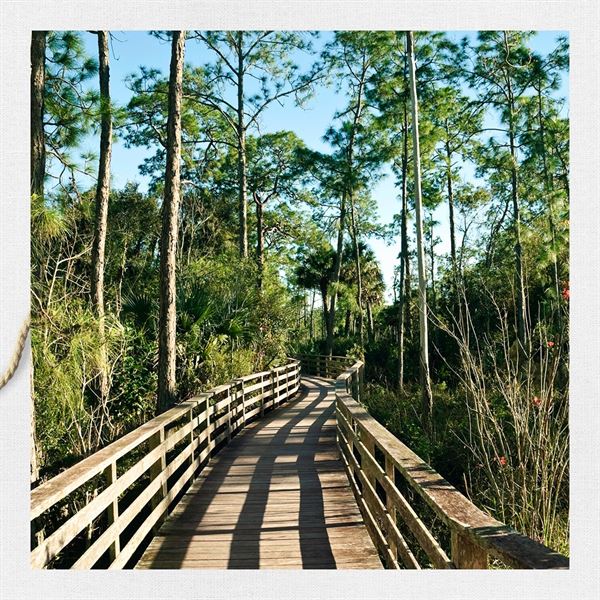 Port of The Islands Resort