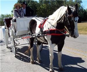 Lollypop Carriage Co.