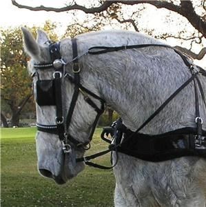 Lollypop Carriage Co.