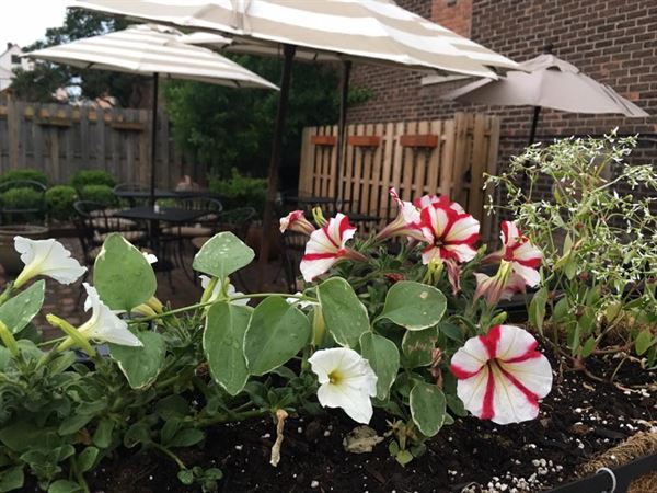 Polish Village Café