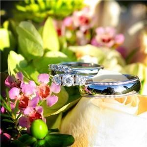 | Stuart Meyer Photography |