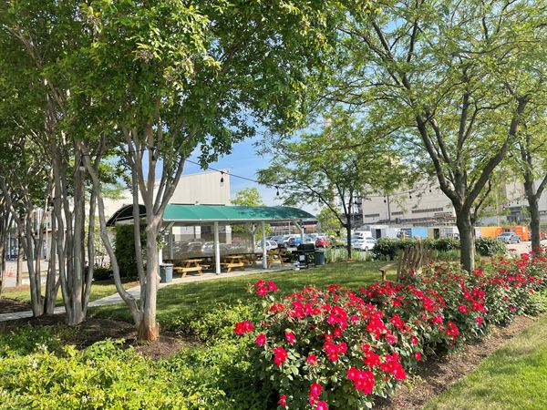 Port Covington Marina