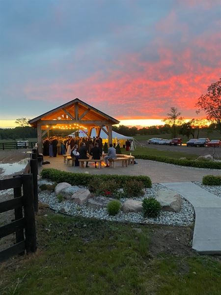 Brighton Equestrian Club