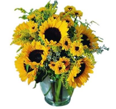 Kremp Florist & Flower Delivery