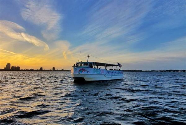 Pier Dolphin Cruises