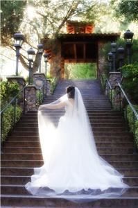 Creative Photography By Stephanie Sundell