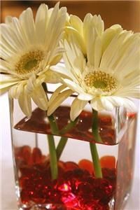 Jaclyn Paige Photography