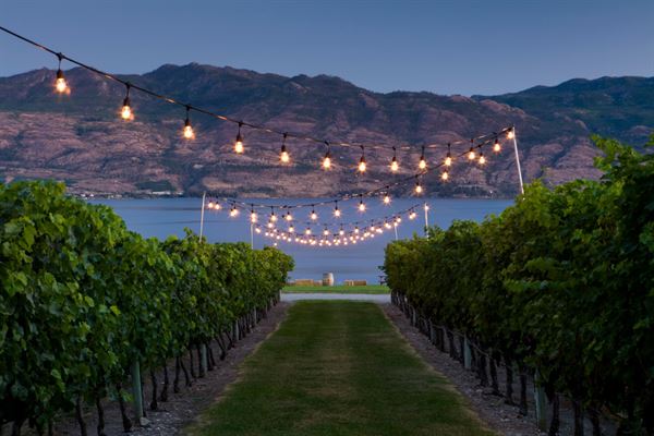 Quails' Gate Estate Winery