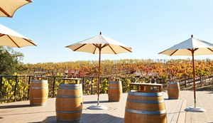 Vineyard Deck