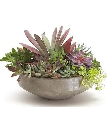 Palm Springs Florist Inc