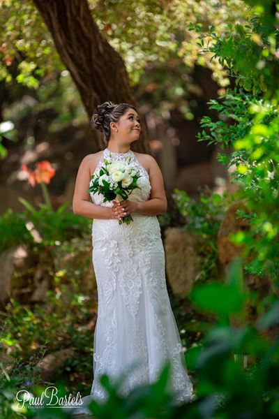 Paul Bartels Photography