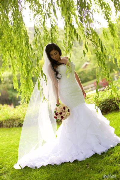 Paul Bartels Photography