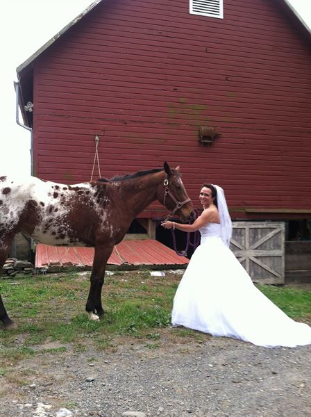 Rustic Ridge View Farm