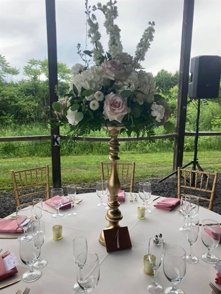 Rustic Ridge View Farm