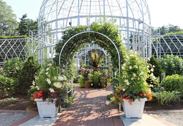 Taylor Conservatory & Botanical Gardens