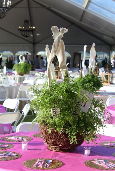 The Flint RiverQuarium