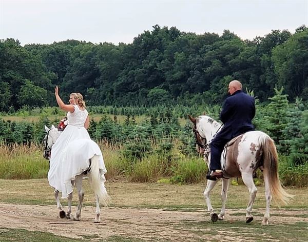 Broadview Christmas Tree Farm